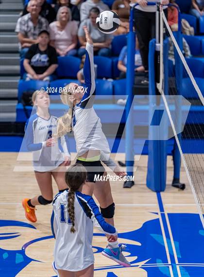 Thumbnail 3 in Marshall @ Cotter photogallery.