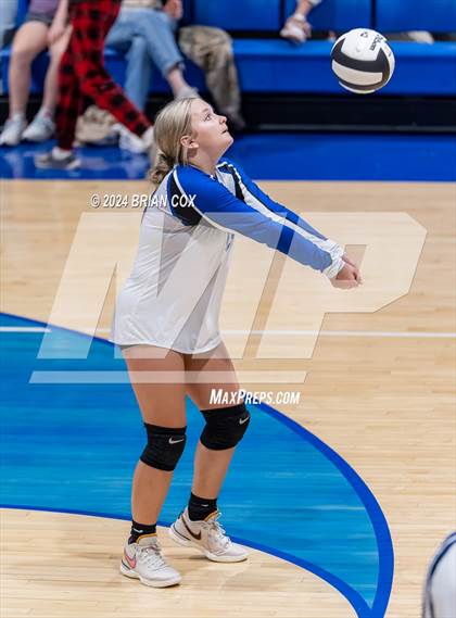 Thumbnail 1 in Marshall @ Cotter photogallery.