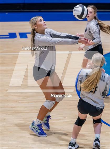 Thumbnail 3 in Marshall @ Cotter photogallery.