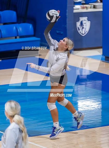 Thumbnail 3 in Marshall @ Cotter photogallery.