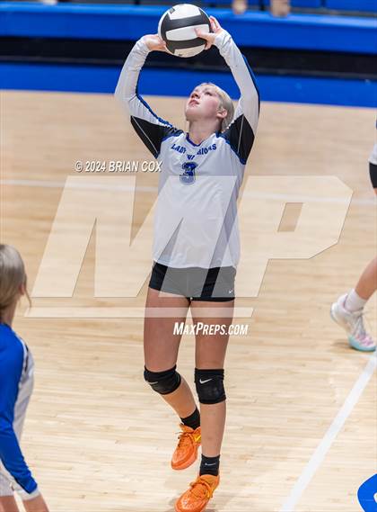 Thumbnail 1 in Marshall @ Cotter photogallery.