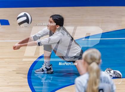 Thumbnail 1 in Marshall @ Cotter photogallery.