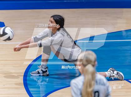 Thumbnail 2 in Marshall @ Cotter photogallery.