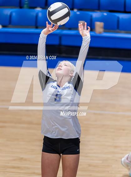 Thumbnail 3 in Marshall @ Cotter photogallery.