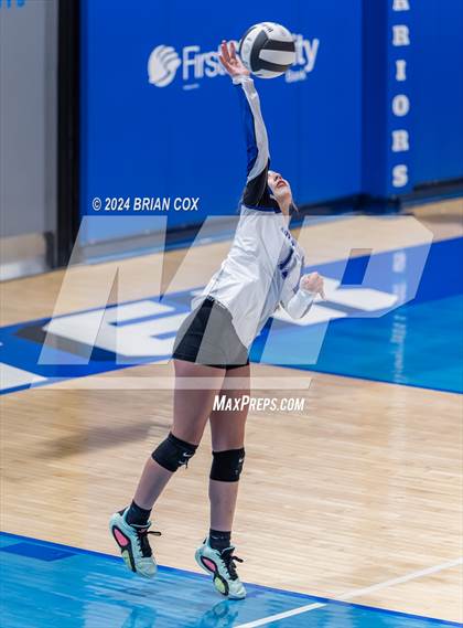 Thumbnail 3 in Marshall @ Cotter photogallery.