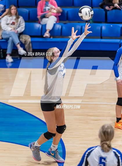 Thumbnail 2 in Marshall @ Cotter photogallery.