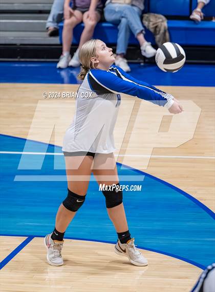 Thumbnail 1 in Marshall @ Cotter photogallery.