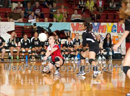 Thumbnail 2 in Littlefield @ Levelland photogallery.