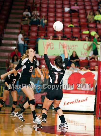 Thumbnail 3 in Littlefield @ Levelland photogallery.