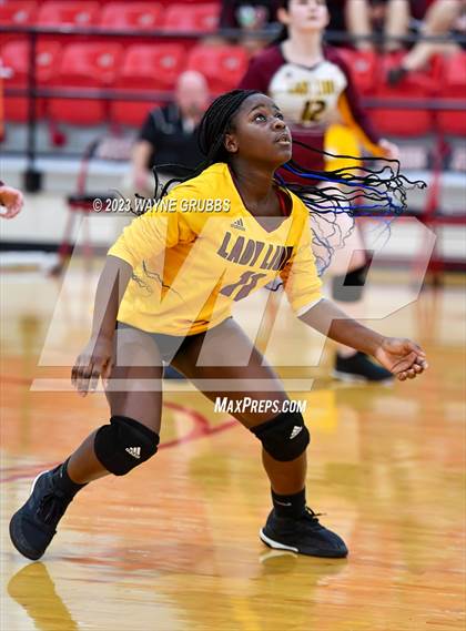 Thumbnail 3 in New Boston @ Hughes Springs JV B photogallery.
