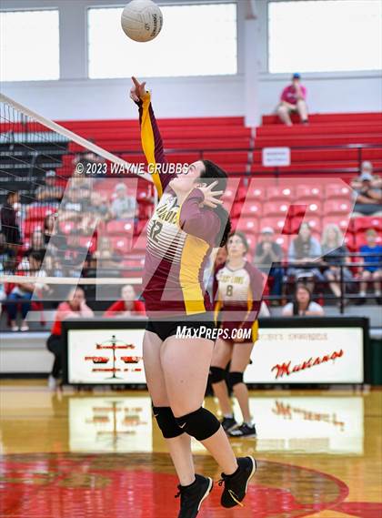 Thumbnail 1 in New Boston @ Hughes Springs JV B photogallery.