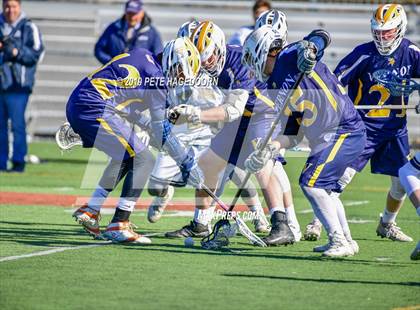 Thumbnail 3 in Vernon @ Pope John XXIII photogallery.