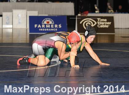 Thumbnail 3 in CIF State Girls Wrestling Championships (Finals) photogallery.