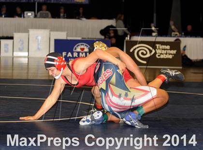 Thumbnail 2 in CIF State Girls Wrestling Championships (Finals) photogallery.