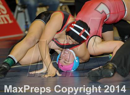 Thumbnail 2 in CIF State Girls Wrestling Championships (Finals) photogallery.