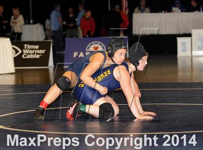 Thumbnail 3 in CIF State Girls Wrestling Championships (Finals) photogallery.