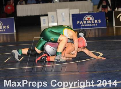 Thumbnail 1 in CIF State Girls Wrestling Championships (Finals) photogallery.