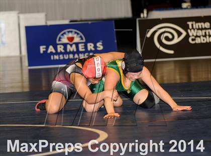 Thumbnail 3 in CIF State Girls Wrestling Championships (Finals) photogallery.