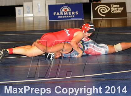 Thumbnail 1 in CIF State Girls Wrestling Championships (Finals) photogallery.