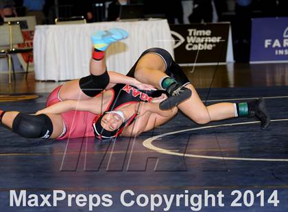 Thumbnail 1 in CIF State Girls Wrestling Championships (Finals) photogallery.