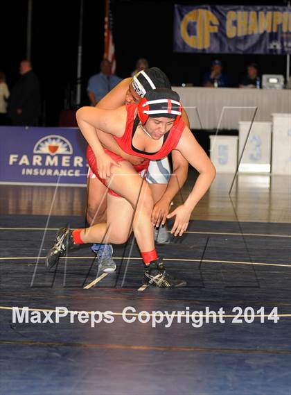 Thumbnail 2 in CIF State Girls Wrestling Championships (Finals) photogallery.