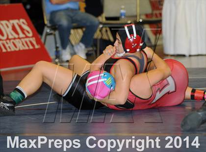 Thumbnail 3 in CIF State Girls Wrestling Championships (Finals) photogallery.