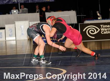 Thumbnail 2 in CIF State Girls Wrestling Championships (Finals) photogallery.