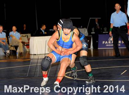 Thumbnail 2 in CIF State Girls Wrestling Championships (Finals) photogallery.