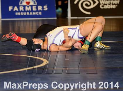 Thumbnail 1 in CIF State Girls Wrestling Championships (Finals) photogallery.