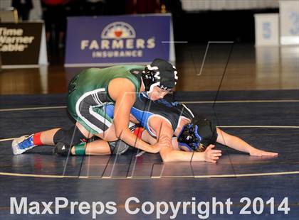 Thumbnail 1 in CIF State Girls Wrestling Championships (Finals) photogallery.