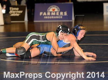 Thumbnail 2 in CIF State Girls Wrestling Championships (Finals) photogallery.