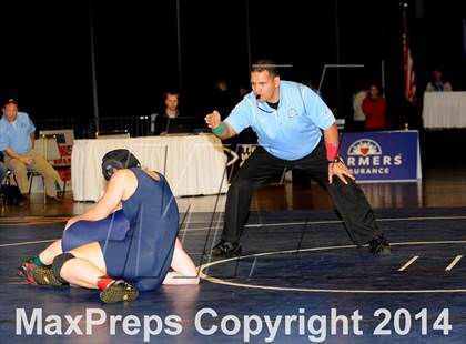 Thumbnail 1 in CIF State Girls Wrestling Championships (Finals) photogallery.