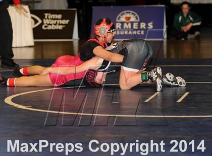 Thumbnail 2 in CIF State Girls Wrestling Championships (Finals) photogallery.