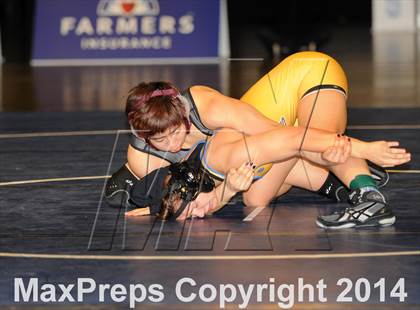 Thumbnail 3 in CIF State Girls Wrestling Championships (Finals) photogallery.