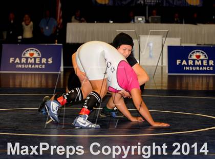 Thumbnail 2 in CIF State Girls Wrestling Championships (Finals) photogallery.