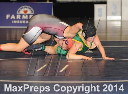 Thumbnail 2 in CIF State Girls Wrestling Championships (Finals) photogallery.