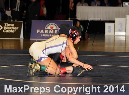 Thumbnail 1 in CIF State Girls Wrestling Championships (Finals) photogallery.