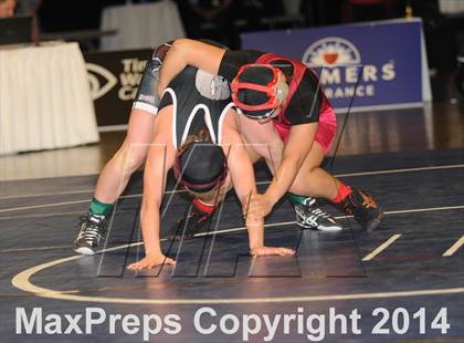 Thumbnail 3 in CIF State Girls Wrestling Championships (Finals) photogallery.