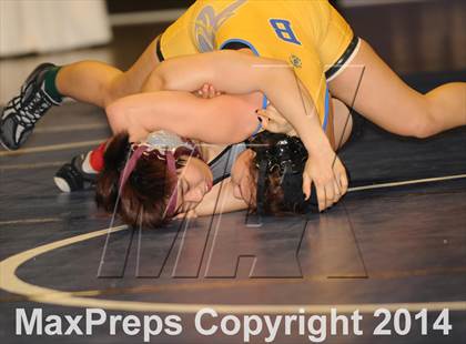Thumbnail 3 in CIF State Girls Wrestling Championships (Finals) photogallery.