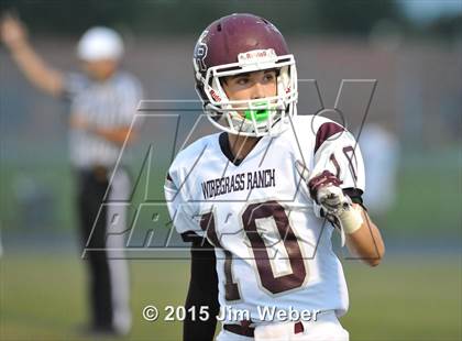 Thumbnail 2 in Wiregrass Ranch @ Wesley Chapel photogallery.