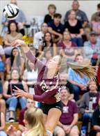 Photo from the gallery "Rocklin @ Whitney"