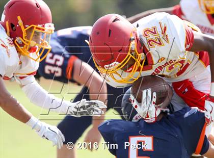 Thumbnail 3 in Woodbridge @ Cypress photogallery.
