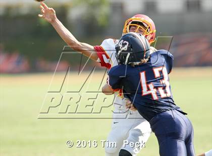 Thumbnail 1 in Woodbridge @ Cypress photogallery.