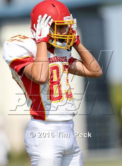 Thumbnail 1 in Woodbridge @ Cypress photogallery.