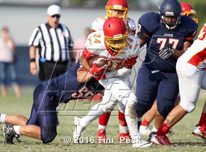 Thumbnail 3 in Woodbridge @ Cypress photogallery.