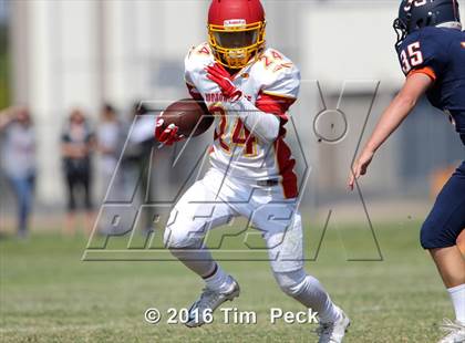 Thumbnail 1 in Woodbridge @ Cypress photogallery.