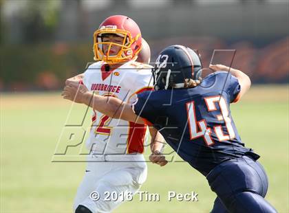 Thumbnail 3 in Woodbridge @ Cypress photogallery.