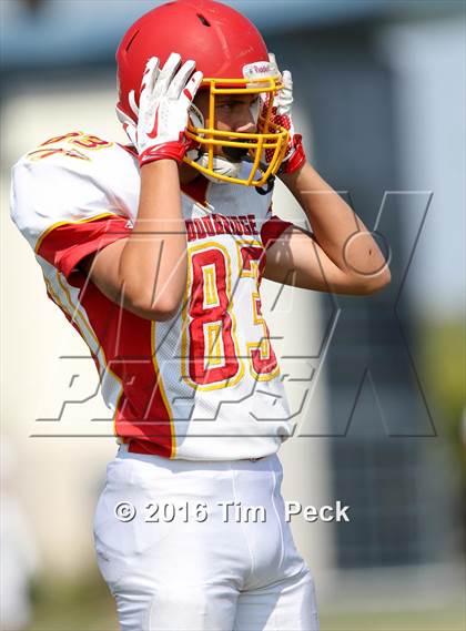Thumbnail 3 in Woodbridge @ Cypress photogallery.