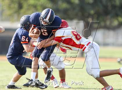 Thumbnail 1 in Woodbridge @ Cypress photogallery.