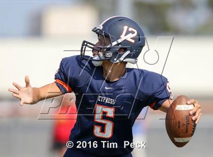 Thumbnail 2 in Woodbridge @ Cypress photogallery.